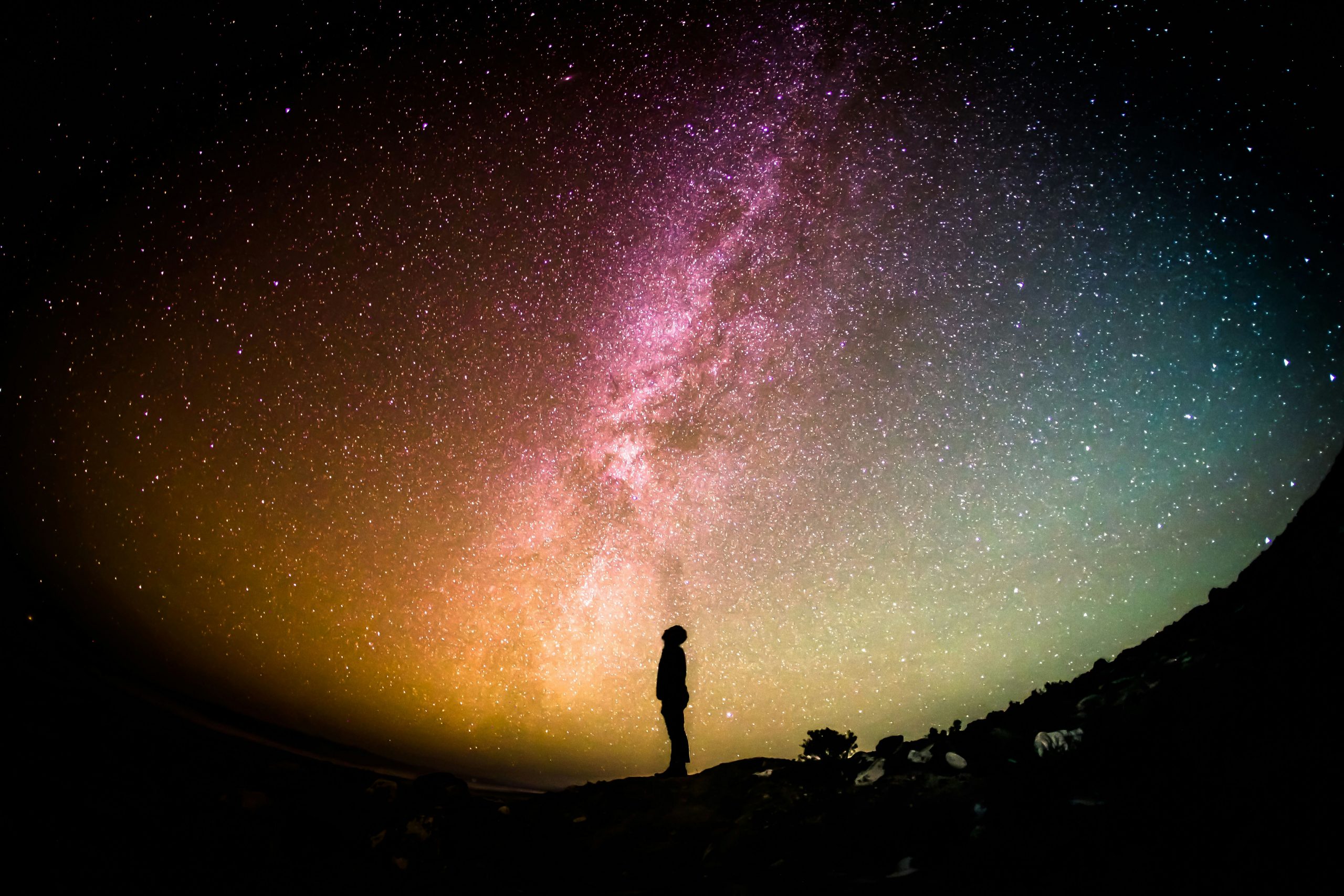 Life, the Universe, and Everything